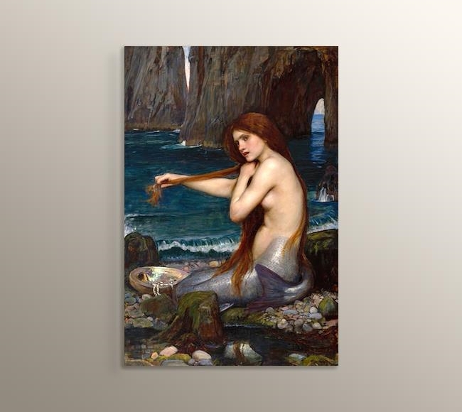 A Mermaid - Bir Deniz Kızı