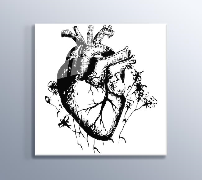 Detaylı Kalp Çizimi