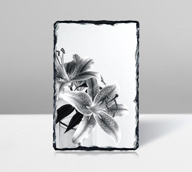 Siyah Beyaz Çiçekler - Yakın Çekim