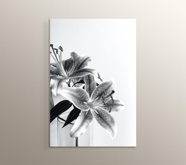 Siyah Beyaz Çiçekler - Yakın Çekim
