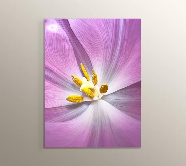 Sarı Polenli Mor Yapraklı Çiçek - Yakın Çekim
