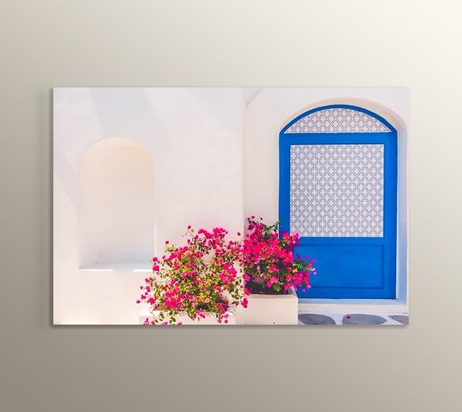 Beyaz Duvarlı, Mavi Kapılı Ev ve Mor Çiçekler