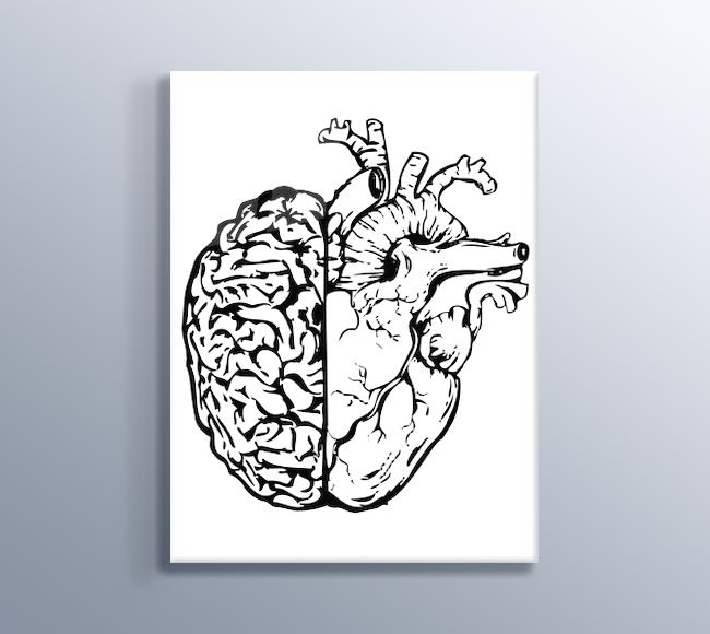 Kalp ve Beyin Birleşimi Çizimi