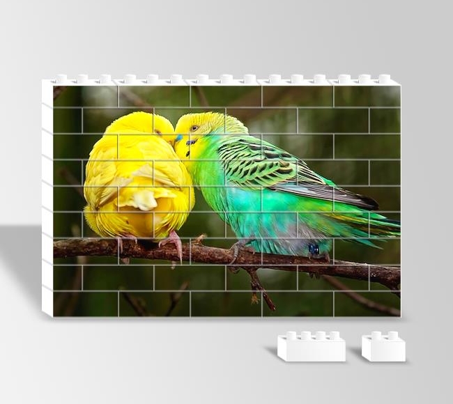 Dalın Üstündeki Sarı ve Yeşil Muhabbet Kuşları
