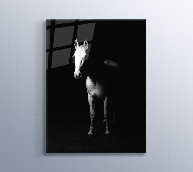 Karanlıktaki Beyaz At