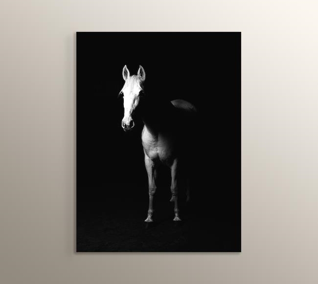 Karanlıktaki Beyaz At
