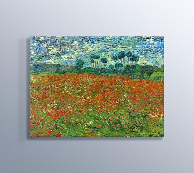 Poppy field