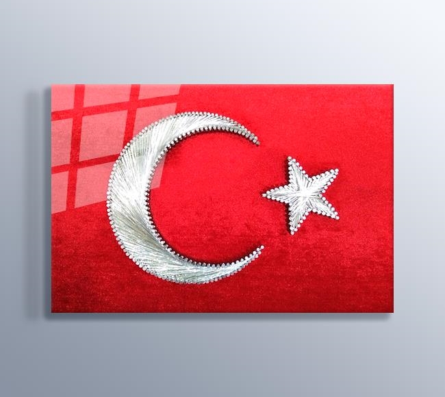 Çivi ve İplik Görünümlü Desen Dijital Baskı Türk Bayrağı