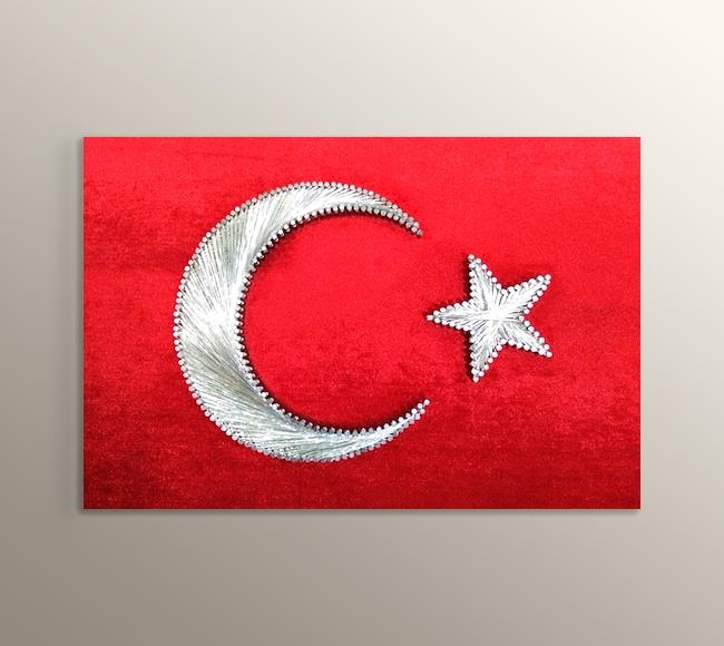 Çivi ve İplik Görünümlü Desen Dijital Baskı Türk Bayrağı