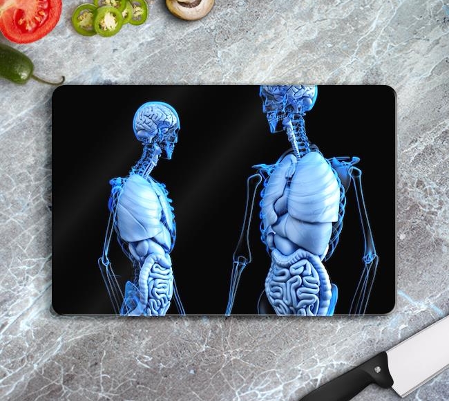 Mavi İskeletler ve İç Organları