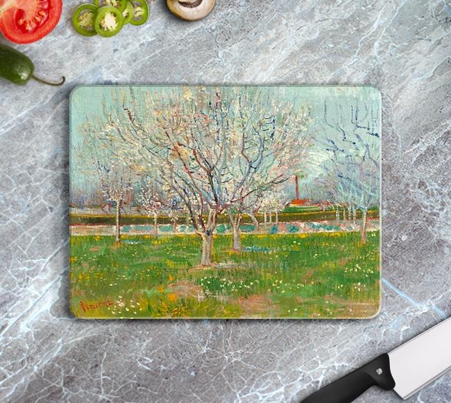 Orchard in Blossom - Apricot Trees