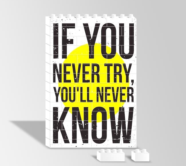 If You Never Try, You'll Never Know