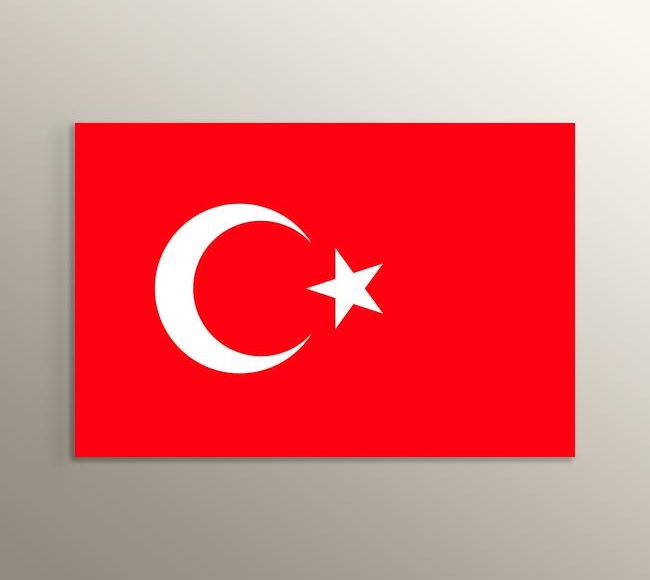 Ay Yıldızlı Kırmızı Türk Bayrağı 
