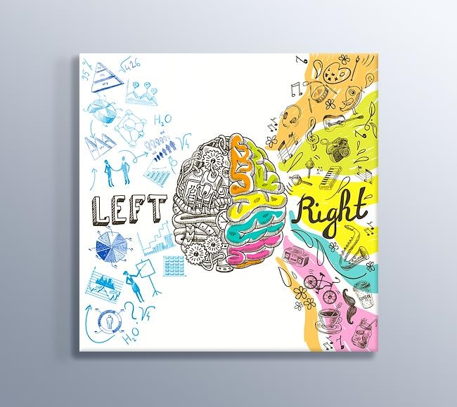 Sol ve Sağ Beyinin Renkli Dünyası