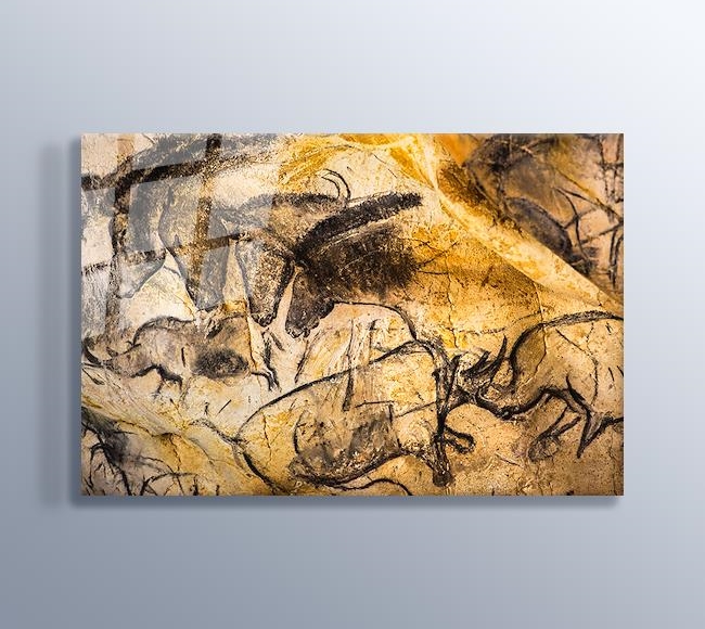 At ve Gergedan Çizimleri - Chauvet Mağarası Fransa