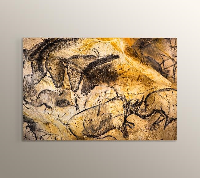 At ve Gergedan Çizimleri - Chauvet Mağarası Fransa